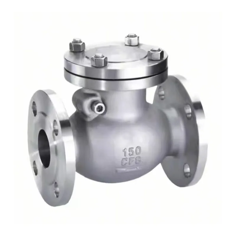 Stainless Steel Check Valve