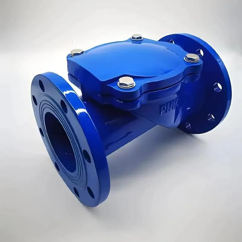 Injap Semak Flap Getah